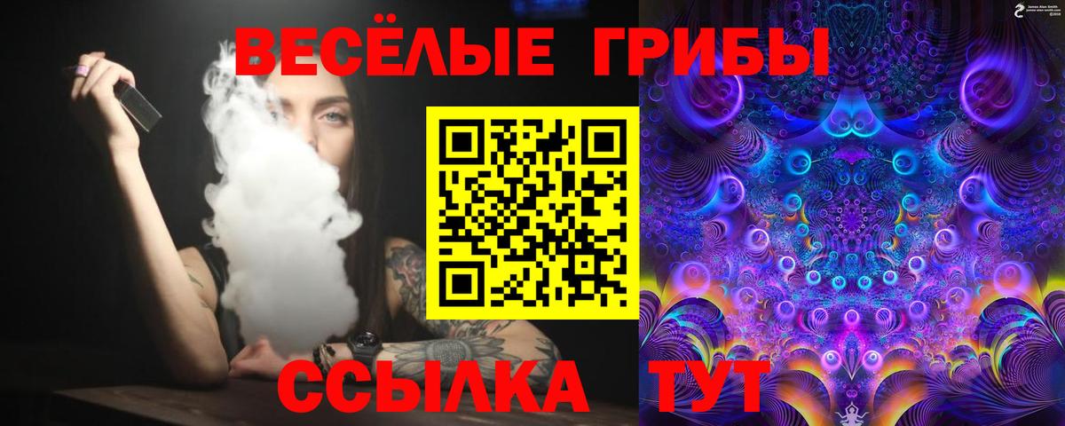 Псилоцибиновые грибы прущие грибы Грозный